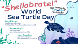  Shellabrate World Turtle Day Title Page